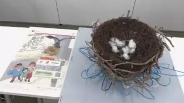 去年は約1600件の投稿が　より多くの目で　電柱の鳥の巣みまわり