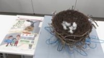 去年は約1600件の投稿が　より多くの目で　電柱の鳥の巣みまわり