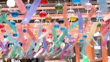 金井神社で風鈴の音色響く　月替わりの御朱印も