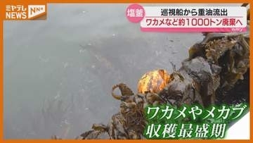 ワカメなど1000トン『廃棄』へ、海保の巡視船から重油流出「かなりの衝撃・打撃です」（宮城）