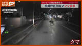 「ドライブレコーダーに映るクマ…宮城野区幸町で目撃 周辺で目撃相次ぐ（宮城・仙台市）」の画像1