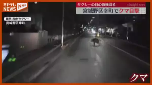 ドライブレコーダーに映るクマ…宮城野区幸町で目撃 周辺で目撃相次ぐ（宮城・仙台市）