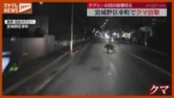 ドライブレコーダーに映るクマ…宮城野区幸町で目撃 周辺で目撃相次ぐ（宮城・仙台市）