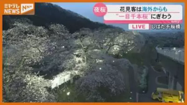 「満開目前！一目千本桜を中継で　気になる花見会場のゴミ問題は今　宮城」の画像