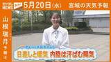 「“日差しと暖気 内陸は汗ばむ陽気” 20日(水)宮城の天気」の画像1