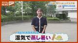 「「湿気で蒸し暑い」8月26日(水)午前11時半時点の宮城県の天気予報」の画像1