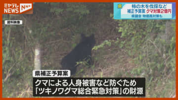 「クマ対策」に2億円計上 11月定例会、一般会計で19億円の補正予算案固まる 宮城