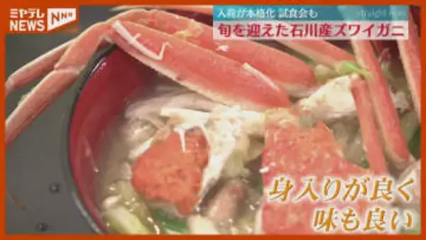 「能登の復興に一役買えれば」石川県産『ズワイガニ』が旬、市場関係者にカニ汁など振る舞われる（仙台市中央卸売市場）