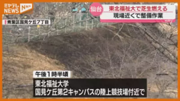 東北福祉大で“芝生”燃える、近くで行われていた整備作業から引火の可能性も（仙台市）