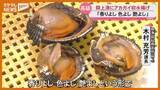 「「香りよし 色よし 艶よし 」閖上漁港に今シーズン初のアカガイ水揚げ＜宮城＞」の画像1