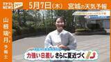 「“力強い日差し さらに夏近づく” 7日(木)宮城の天気」の画像1