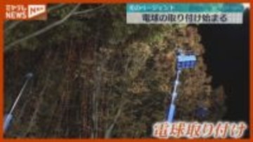 「2025 SENDAI 光のページェント」定禅寺通で電球取り付け始まる＜仙台市＞