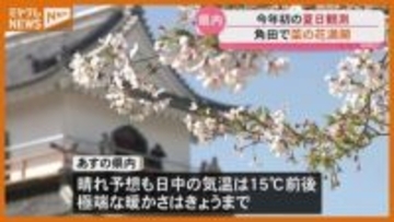 「歩くと ちょっと汗をかく」宮城で今年初めての『夏日』・4月13日