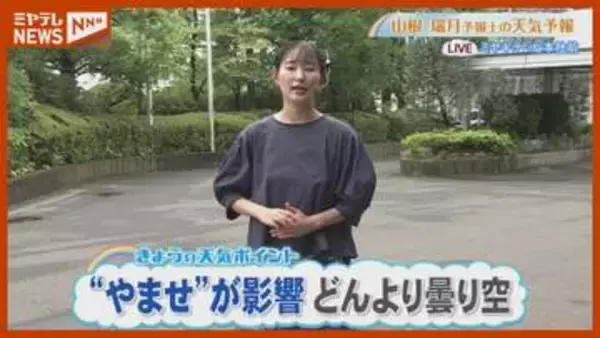 ”やませ”が影響 どんより曇り空 7月27日(月)宮城県の天気予報