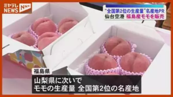仙台空港で福島県産モモの販売会〈宮城〉