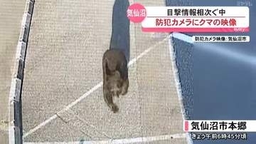 クマの目撃相次ぐ気仙沼で防犯カメラに映像が（宮城）