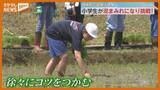 「「ほくほくなお米に育ってほしい」小学生が泥んこになって田植え体験！　宮城・色麻町」の画像1