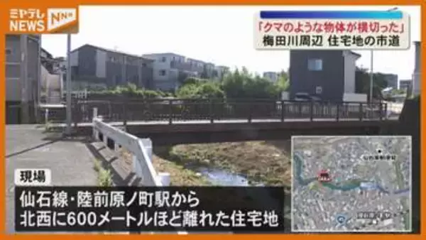 目撃情報相次ぐ中 宮城野区原町でクマ目撃か〈宮城・仙台市〉