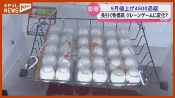 長引く物価高”クレーンゲームにも変化？”９月値上げ4500品目超＜宮城＞