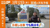 「“日差しは春 でも風は冬” 12日(木)宮城の天気」の画像1