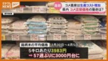 【コメ】店頭価格の動向は？農家の現状は？『 早場米』の田植えも始まる（宮城）