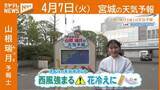 「“西風強まる 花冷えに” 7日(火)宮城の天気」の画像1