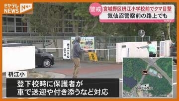 【相次ぐクマ目撃】仙台市の小学校前や…気仙沼警察署の前で「念のためクマ鈴やスプレー持ち歩いている」・宮城