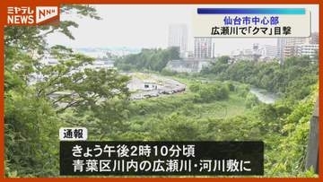 【仙台市中心部】広瀬川でクマ目撃、『定禅寺通り』から直線で150メートル（14日午後）