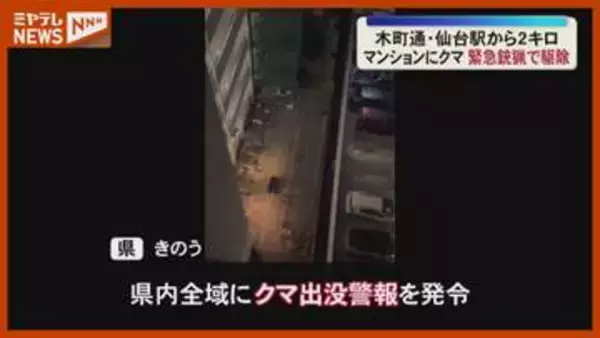 「ありえないんだけど…」仙台市中心部のマンションにクマいすわる、『緊急銃猟』発令し駆除