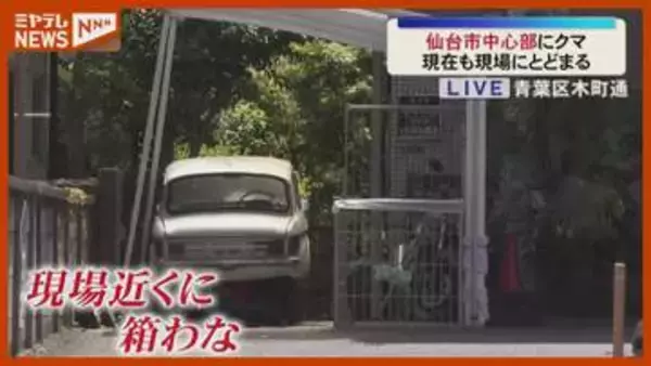 マンションなど立ち並ぶ仙台市中心部に…クマとどまる、『箱わな』設置（19日午前11時半時点）