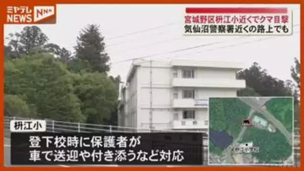 【クマ1頭 目撃】枡江小学校 前の路上で、登下校では保護者が車で送迎など対応（仙台市宮城野区）