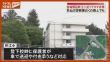 【クマ1頭 目撃】枡江小学校 前の路上で、登下校では保護者が車で送迎など対応（仙台市宮城野区）