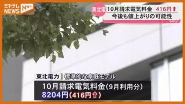 10月請求の電気料金 標準モデルで416円値上がり 東北電力＜宮城＞