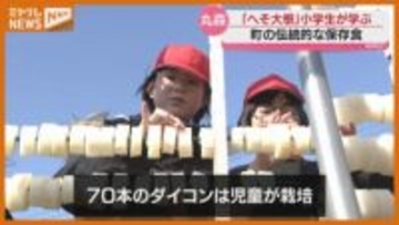 干す時にできる穴が『へそ』のよう…特産『へそ大根』作り、小学生が体験（宮城・丸森町）