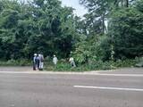 「【速報】仙台市科学館近くの路上で倒木　片側2車線の道路をふさぐ　けが人なし」の画像1
