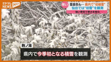 「仙台」で『初雪』、宮城・西部山沿いでは雪が降り積もる…19日は“路面凍結”に注意（18日）