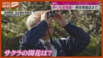 「食べて飲んで踊って歌って」早くもお花見、『仙台』でのサクラ開花発表はまだ（29日）