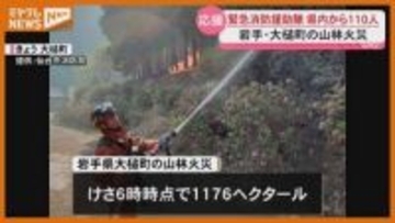 岩手県大槌町の山林火災1176ヘクタール延焼 仙台市消防など7消防110人を現地へ派遣
