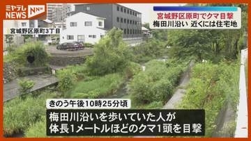 目撃相次ぐ 宮城野区原町でクマ目撃（宮城・仙台市）