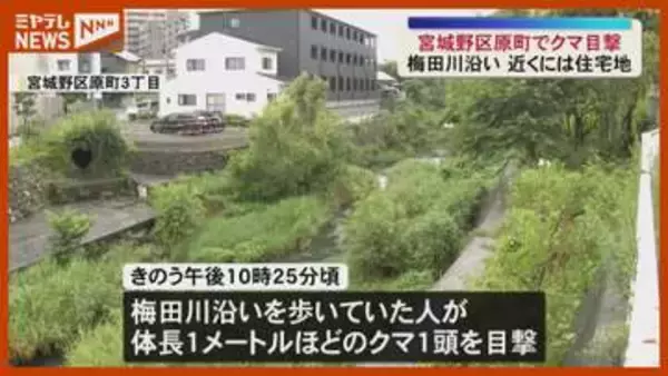 目撃相次ぐ 宮城野区原町でクマ目撃（宮城・仙台市）