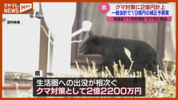 【クマ対策に2億円↑】盛り込んだ補正予算案…木の伐採や捕獲の報酬など＜宮城県議会11月定例会＞