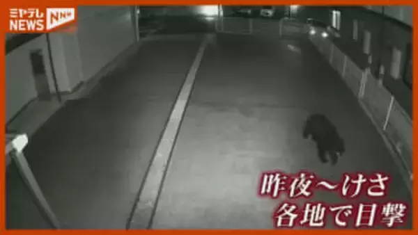 「“区役所”近くの街中でクマ出没は恐怖」仙台市の住宅地などで相次ぐクマの目撃