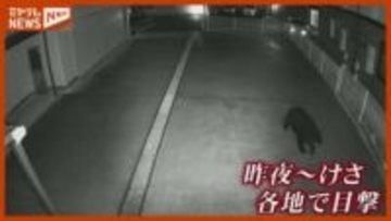 「“区役所”近くの街中でクマ出没は恐怖」仙台市の住宅地などで相次ぐクマの目撃