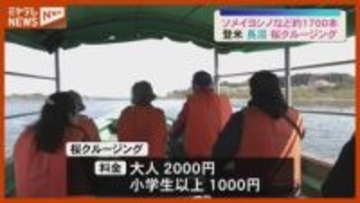 “クルージング”で眺める…沼の周りのサクラ1700本「陸から見るのと違う」 宮城・登米市の長沼