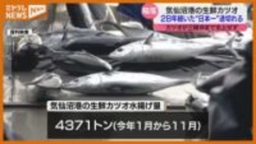 生鮮カツオの水揚げ、28年続いた日本一はストップ… 記録的不漁の要因は？ 宮城・気仙沼市