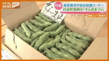 1袋500円の詰め放題が人気「そら豆まつり」6月7日まで開催（宮城・村田町）