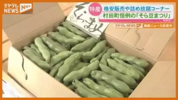 1袋500円の詰め放題が人気「そら豆まつり」6月7日まで開催（宮城・村田町）