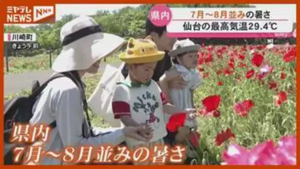 【7月～8月並みの暑さ】仙台で最高気温『29.4℃』、熱中症とみられる症状で3人搬送（30日・宮城県）