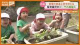 「「おおきくなーれ」夏の日差し和らげる『緑のカーテン』に…園児がゴーヤの苗植える（’宮城・白石市）」の画像1