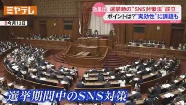 選挙時の”SNS対策法”ポイントは？宮城県知事選でも問題に